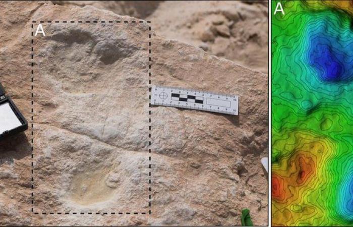 "الشارخ": آثار طبعات الأقدام تؤكد وجود جماعات بشرية قديمة في المملكة