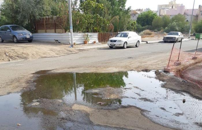 سكان مخطط زهرة العمرة يشتكون من طفوحات المياه ويطالبون بإنهاء معاناتهم