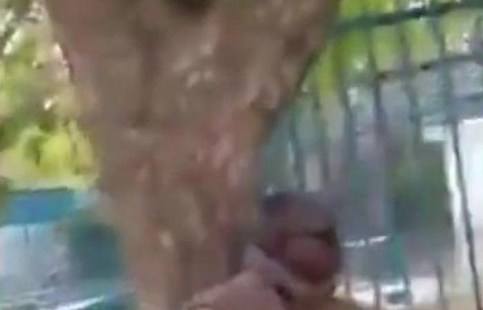 فيديو مرعب: خطأ قاتل ونهاية صادمة لمرشد حديقة الحيوان