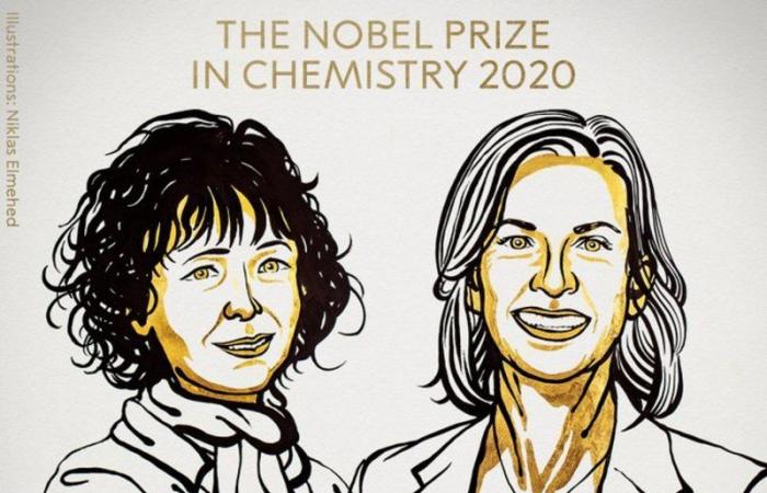 عالمتان تفوزان بـ"نوبل الكيمياء".. طوَّرتا طريقة لتحرير الجينوم