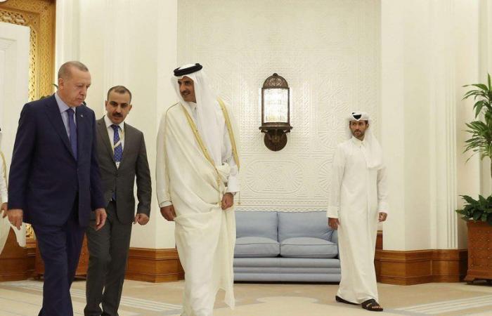 معارض تركي: "أردوغان" زار قطر لطلب المال .. و"تميم" ينظر إليه بدونية