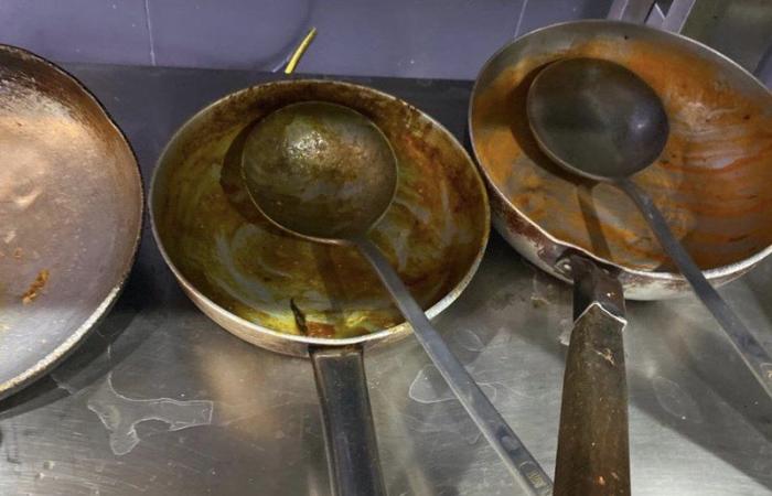 أطعمة فاسدة وصراصير.. شاهد "البلدية النسائية" تغلق مطعمًا شهيرًا بالطائف