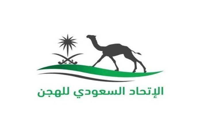 الاتحاد السعودي للهجن يطلق مسابقة النعيرية للمعلقين