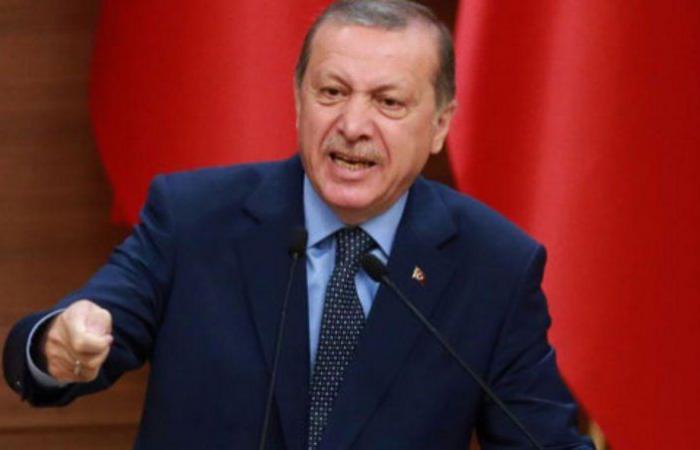 بروفيسور تركي: تعديلات الدستور قضت على النظام البرلماني وأسست لـ"السلطنة"