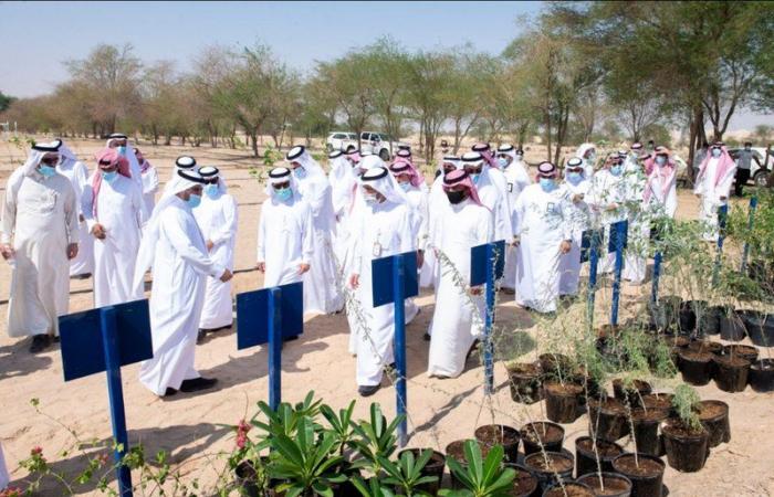 جامعة الملك فيصل تدشن مبادرة غرس 45 ألف شجرة في واحة الاحساء