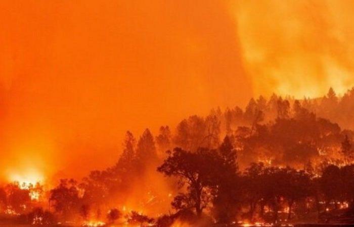 واشنطن.. إجلاء 60 ألف شخص في كاليفورنيا نتيجة انتشار حرائق الغابات