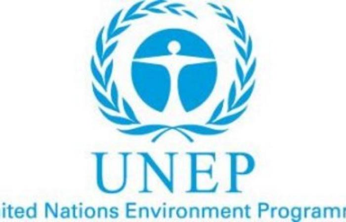 تقرير أممي يؤكد: المركبات المستعملة المصدرة إلى الدول النامية ذات جودة رديئة وتضر بالبيئة