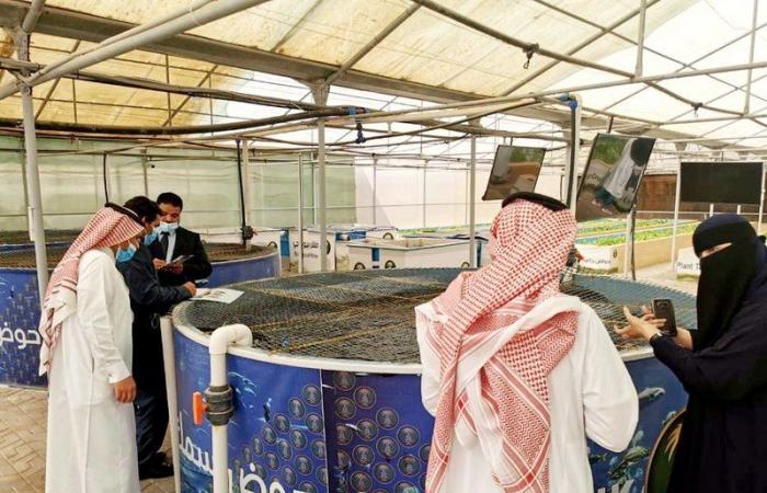 باحثون ومختصّون بالجامعات السعودية يزورون مشروع الوحدة البحثية لمياه البحر بجدة