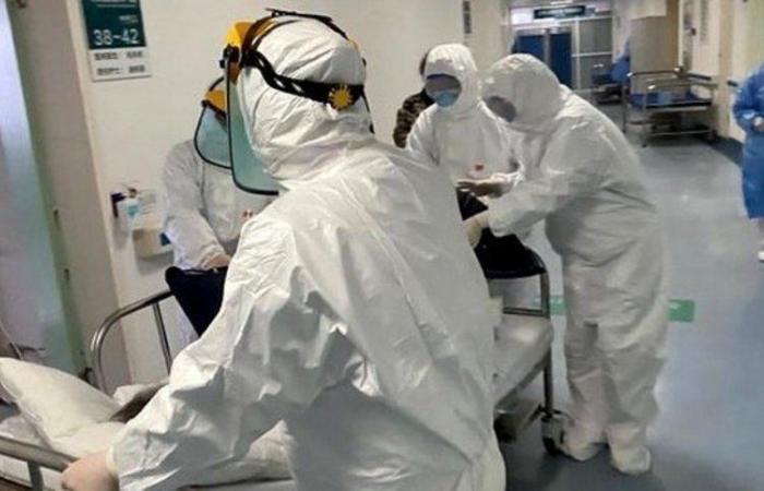 الجزائر تسجل 319 إصابة و7 حالات وفاة جديدة بفيروس كورونا
