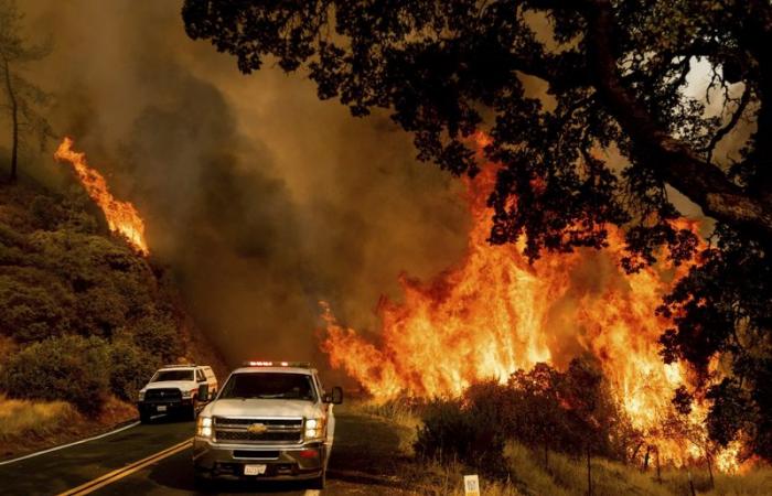 تحذير السعوديين في كاليفورنيا من اتساع رقعة حرائق الغابات