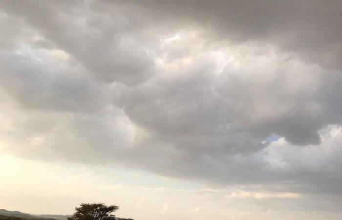أمطار متوسطة على محافظة مهد الذهب لليوم الثالث على التوالي