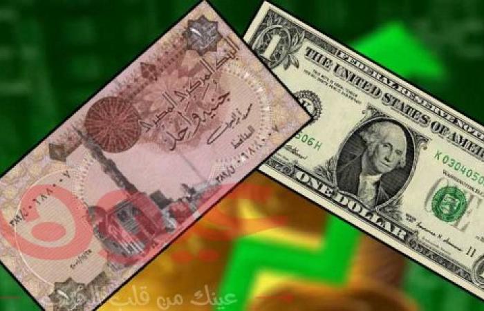 الدولار ينهار أمام الجنية المصري... وخبراء: سيستمر في الانخفاض