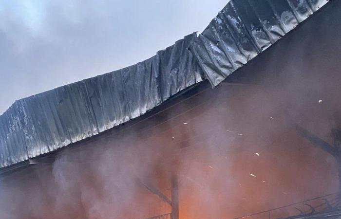 شاهد.. "الدفاع المدني" يكافح حريقاً بمستودع ضخم للزينة في "وادي الدواسر"