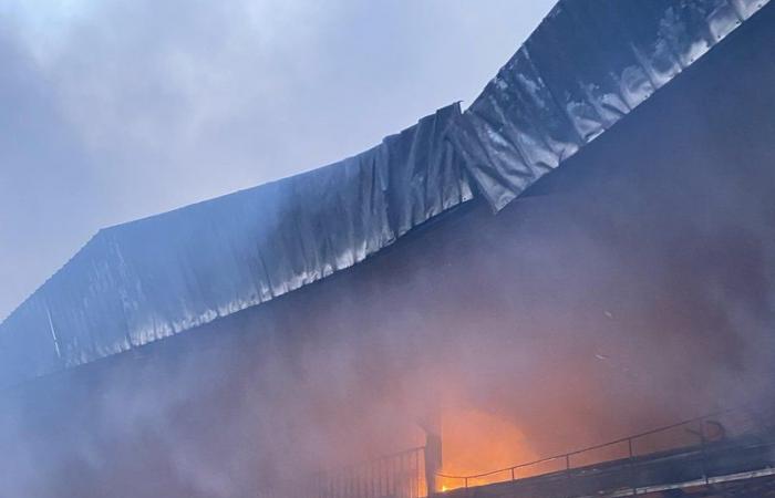 شاهد.. "الدفاع المدني" يكافح حريقاً بمستودع ضخم للزينة في "وادي الدواسر"