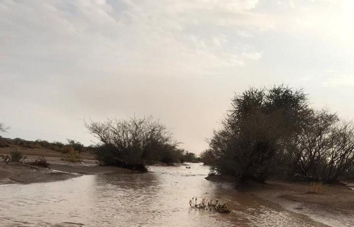 أمطار "سقيا" تهل على مواقع مختلفة من "عفيف والمهد وضرية"