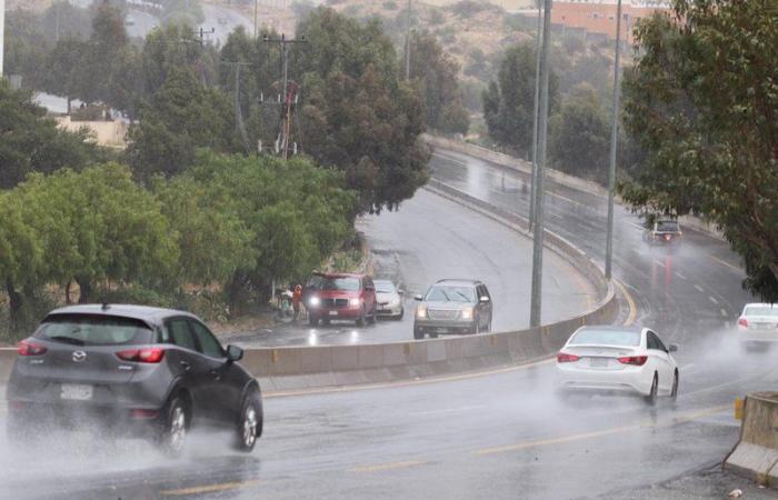هطول أمطار على "شفا الطائف" لليوم الثاني