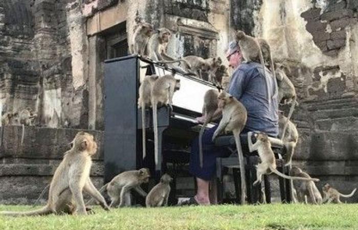 الأسبوع في 12 صورة: بكاء ونحيب في الأرجنتين.. وقرود تستمع إلى الموسيقى في تايلاند