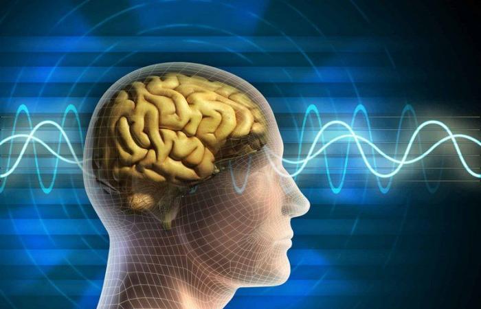 اختراق مذهل.. دراسة طبية تحدد طريقة المخ في بناء "الذاكرة الاستشعارية"