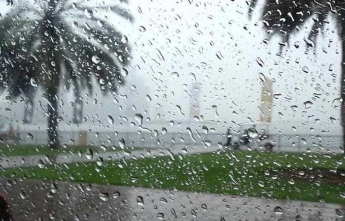 أمطار متوسطة على محافظتَي الحناكية والمهد تبدأ الحادية عشرة صباحاً