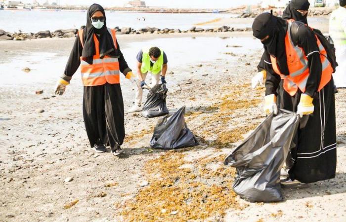 100 متطوع يشاركون أمانة جازان في تنظيف الشواطئ