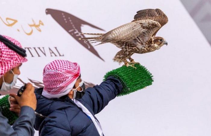 نادي الصقور السعودي يهدي الطفلة "شيهانة" صقراً