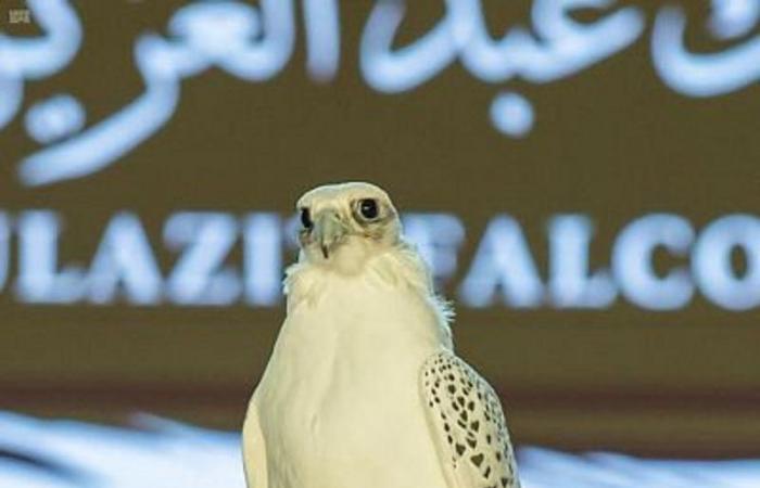 تتويج أجمل 9 صقور في مهرجان الملك عبدالعزيز للصقور