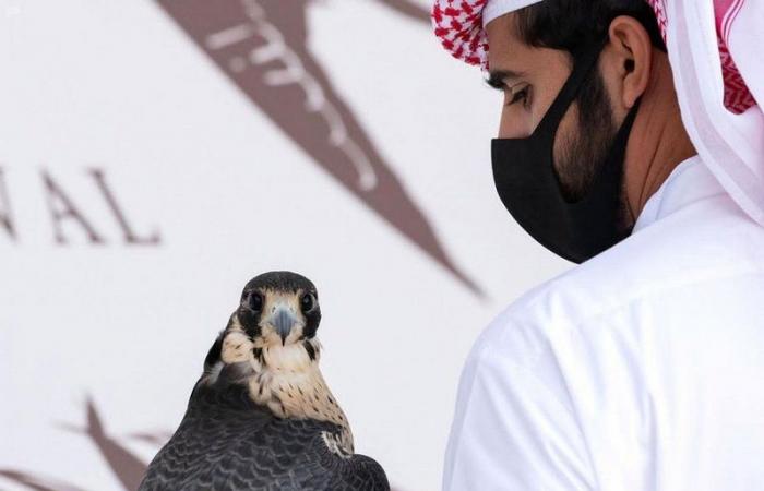 "مهرجان الملك عبدالعزيز للصقور" يسدل الستار على أشواط ملواح الدوليين
