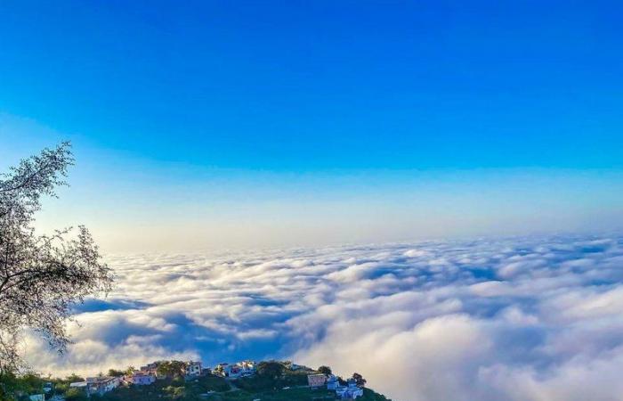 بالصور.. من فوق السحاب.. جمال الطبيعة في جبل "منجد"