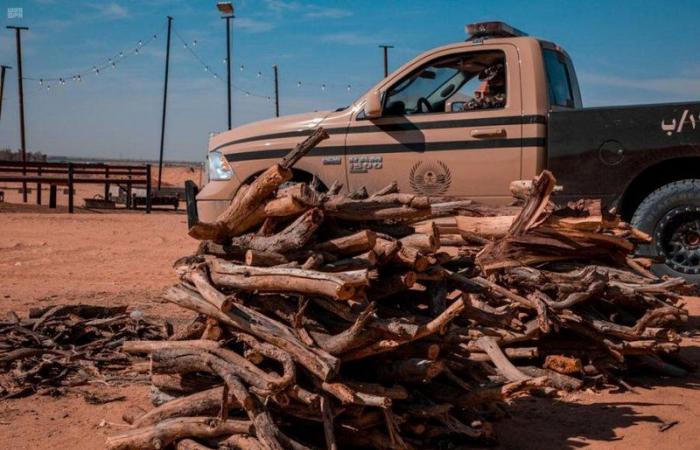 القوات الخاصة للأمن البيئي تضبط 70 طنًا من الحطب المحلي المعد للبيع في مدينة الرياض