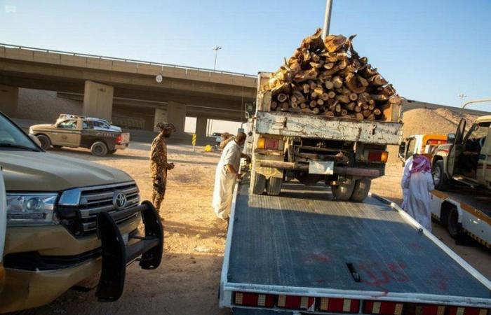 الأمن البيئي يضبط 2.3 طن من الحطب المحلي في الرياض