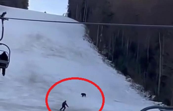 فيديو.. شيء واحد خلَّص متزلجًا من دب طارده وسط الثلوج