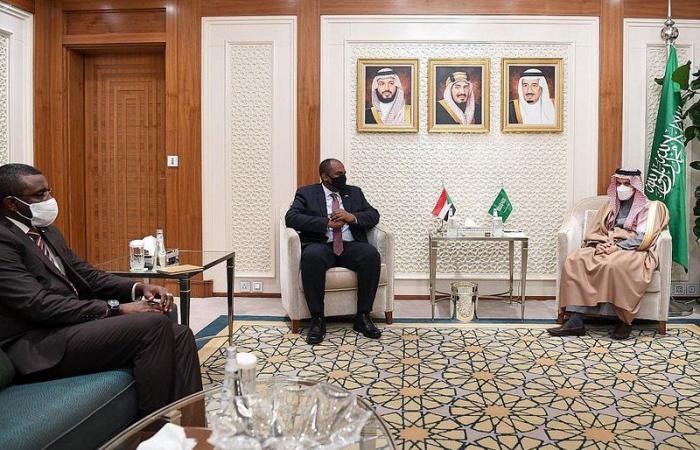 وزير الخارجية يستعرض العلاقات الثنائية مع عضو المجلس السوداني