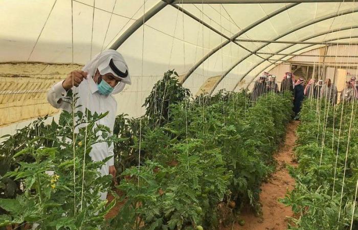 "مدير زراعة الرياض" يزور الزلفي ويناقش خطط تحقيق برامج التحول الوطني