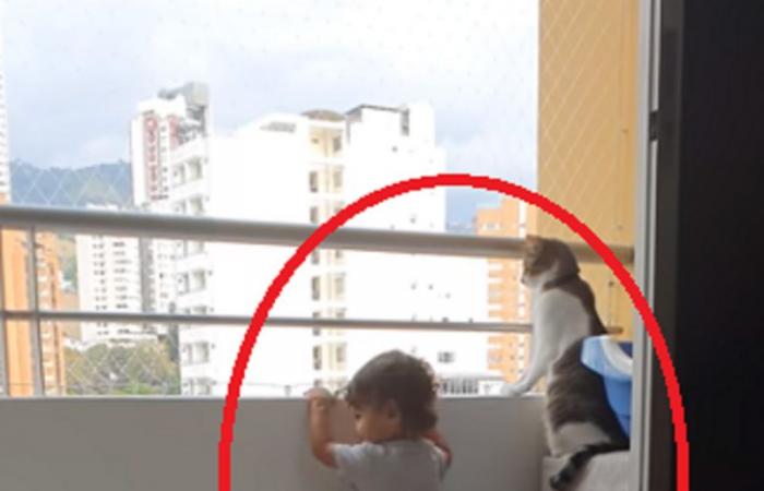 فيديو أروع جليسة أطفال .. شاهد ماذا فعلت القطة مع الصغير