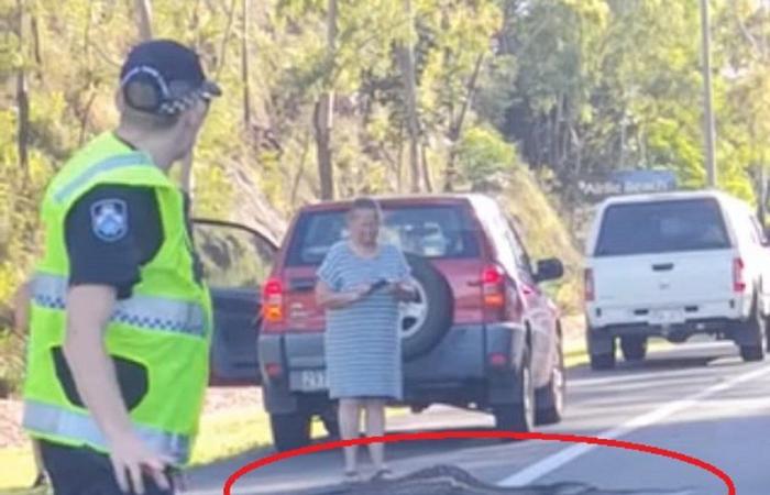 بالفيديو .. شاهد ما فعله ثعبان على أحد الطرق بأستراليا