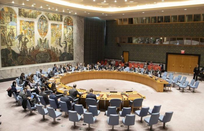 مجلس الأمن الدولي يدين هجمات الحوثيين الإرهابية على المملكة
