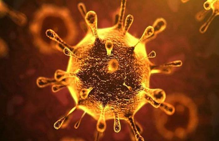 19 وفاة و 4139 اصابة جديدة بفيروس كورونا في الاردن