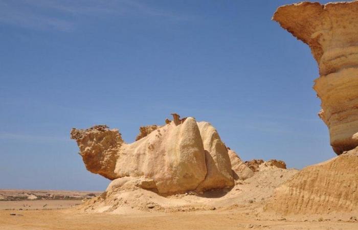 بالفيديو.. "أبو الهول والفيل والجمل" أشكال صخرية مذهلة تزين جبال السعودية