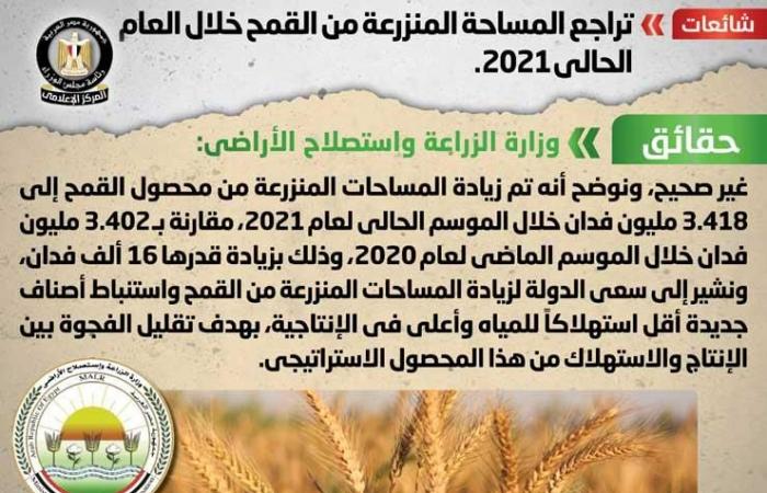 الحكومة تنفى تراجع المساحة المنزرعة من القمح خلال العام الحالي 2021