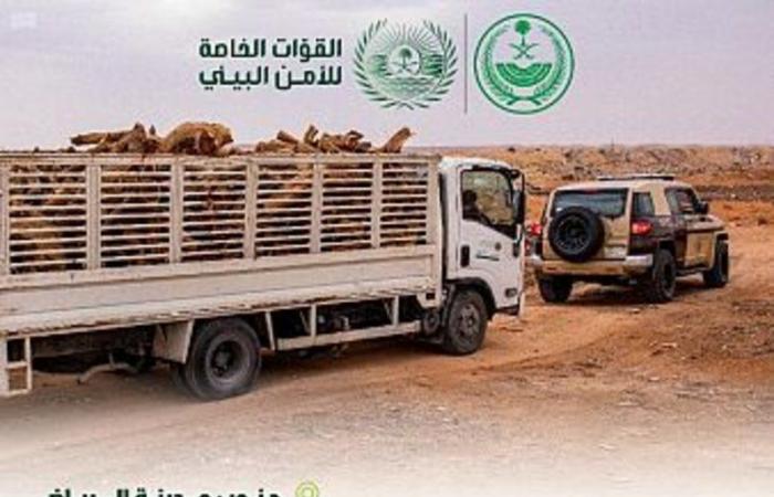 "الأمن البيئي" يضبط 10 مخالفين لنظام البيئة في الرياض