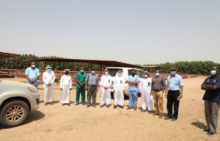 خبراء من منظمة الزراعة بالأمم المتحدة يقفون على مزارع المواشي بجازان