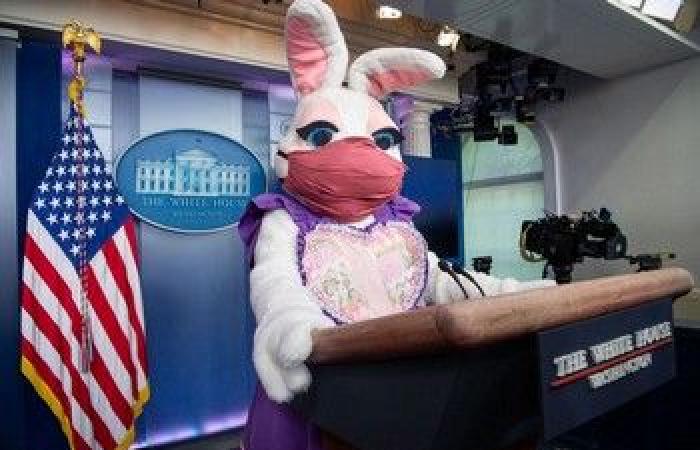 الأسبوع في 13 صورة: عودة المومياء.. وأرنب يتحدث باسم البيت الأبيض