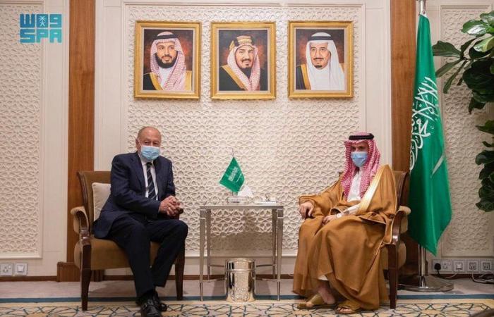 وزير الخارجية يبحث الأوضاع على الساحتين العربية والدولية مع أبو الغيط