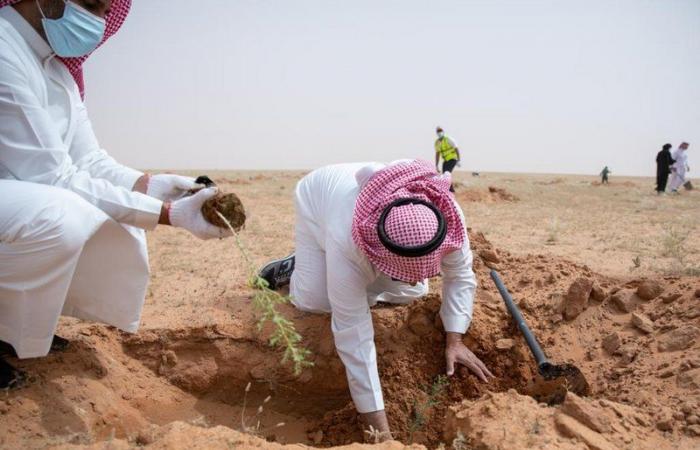 "محمية الملك عبدالعزيز الملكية" تزرع 100 ألف شتلة من مشروع التشجير
