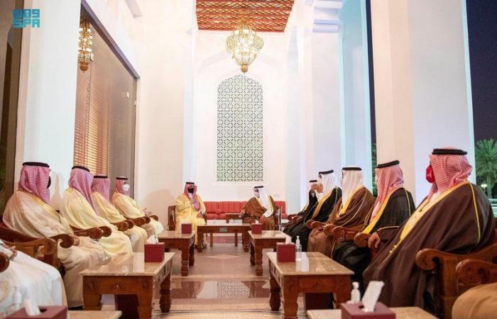 وزير الداخلية يلتقي ولي عهد مملكة البحرين