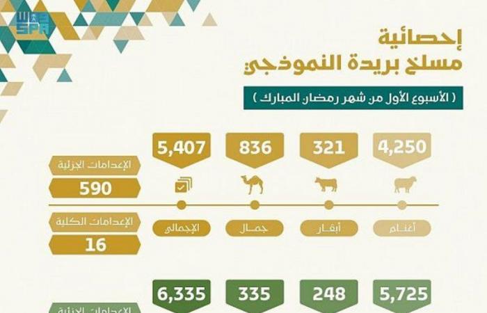 أكثر من 11 ألفاً من مذبوحات مسلخ أمانة القصيم في الأسبوع الأول من شهر رمضان