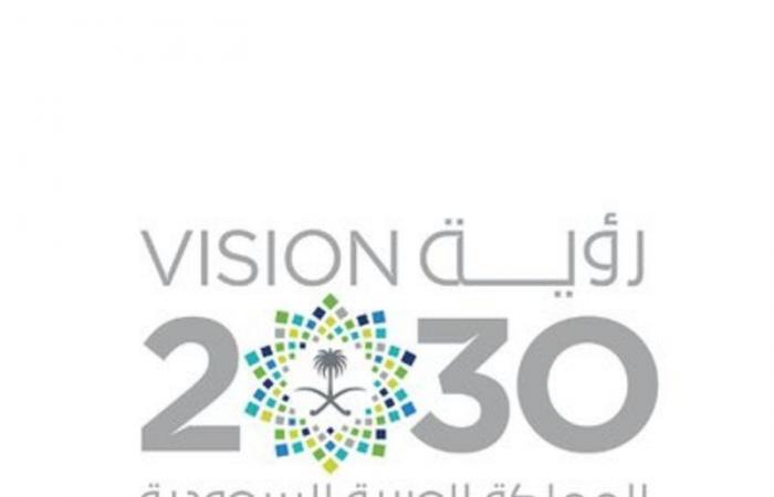 5 سنوات على انطلاق رؤية 2030 .. اقتصادي لـ"سبق": العالم شهد المنجزات بترؤس السعودية G20