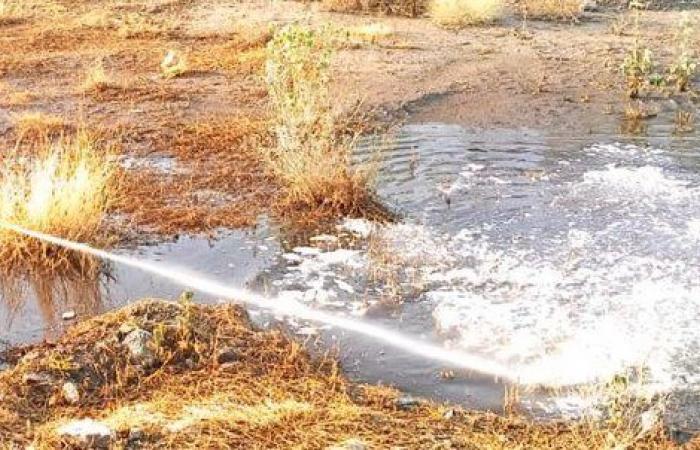 عقب الأمطار .. "أمانة مكة" تباشر رش تجمعات المياه لمكافحة البعوض
