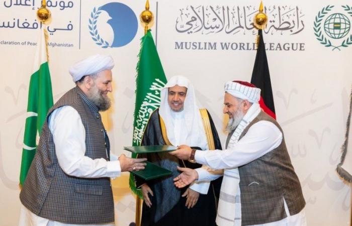 المصالحة الأفغانية برعاية سعودية فتحت آفاق التقدم.. تعرف على ما تمتلكه أفغانستان من ثروات وتنوع