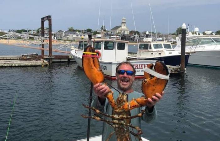 ابتلعه حوت وبصقه.. صياد أمريكي يروي تجربته في فم الحوت